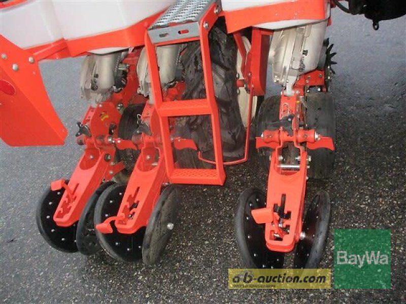 Maschio CHRONO PNEUMATISC #998