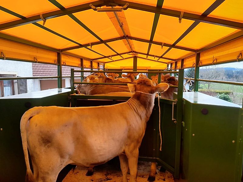 Viehwagen Western WF6DTV hydraulisch absenkbar