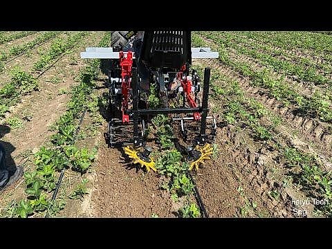 Solan Rollhackmaschine mit Düngerdosierung P501/2