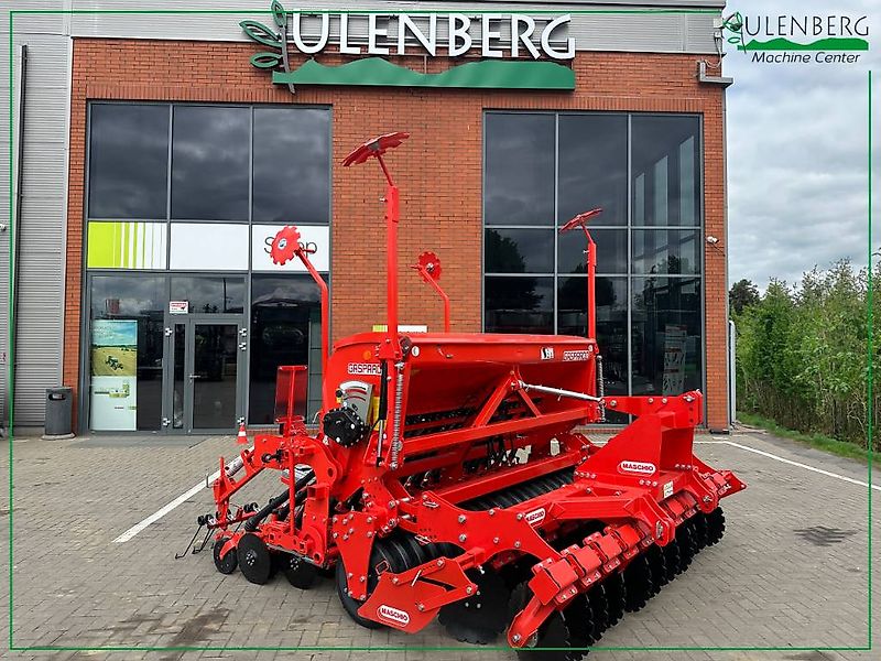 Maschio Dama 300 + IENA D 300