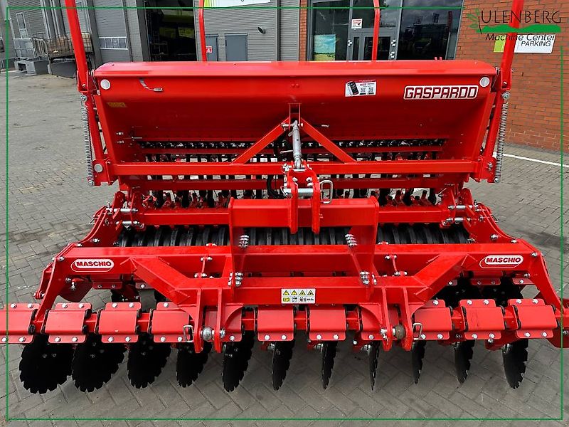 Maschio Dama 300 + IENA D 300