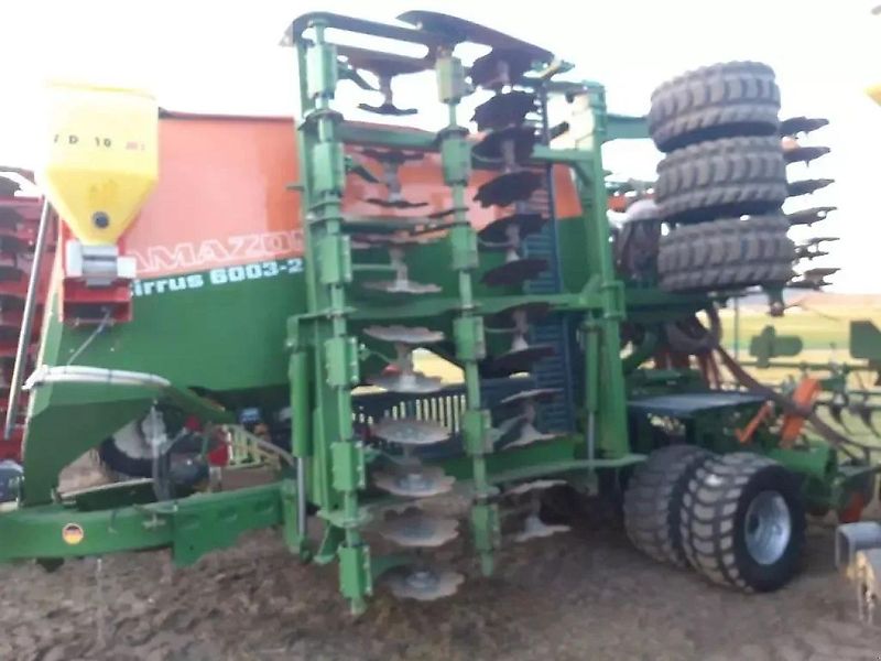 Amazone cirrus 6003-2