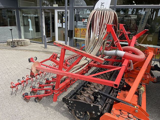Maschio zaaibalk