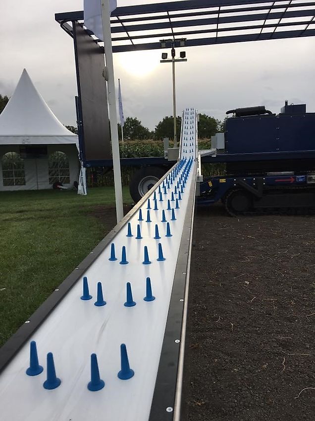 J. van der Sluis BV. Bloemkool / Broccoli oogstrups