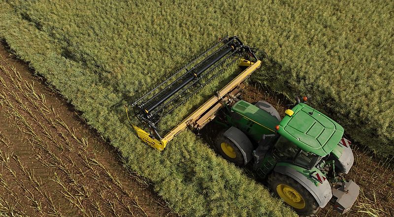 Honey Bee ST 25 - BANDSCHWADMÄHWERK