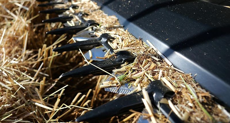 Honey Bee ST 30 - BANDSCHWADMÄHWERK