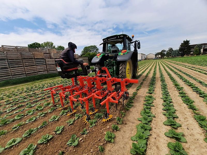 NIVA-TOP ZSA-4-H Row cultivator / Hackmaschinen / Hackgerät / Pielnik